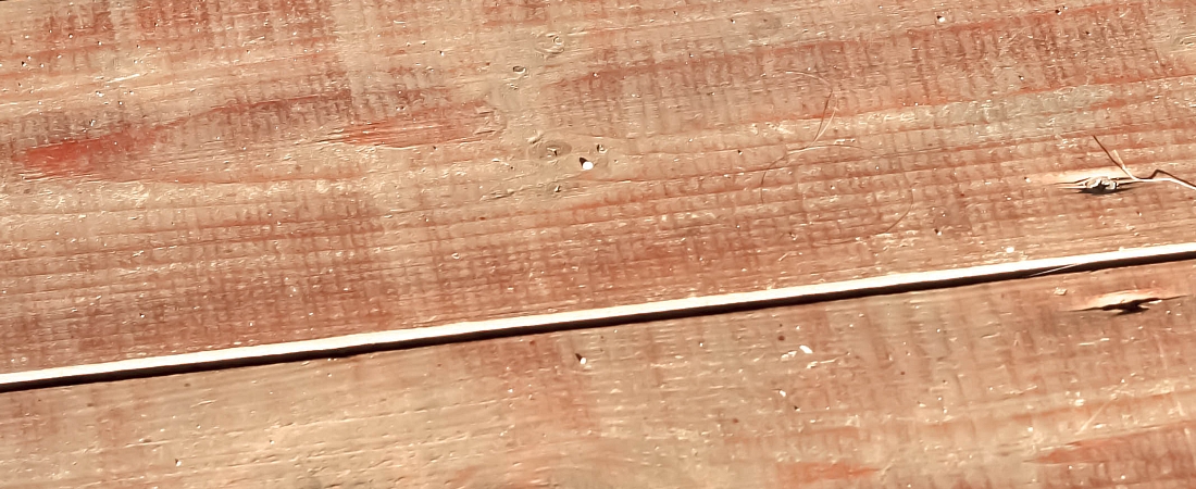 Orchidee.kaufen, Barmer Straße in Sprockhövel