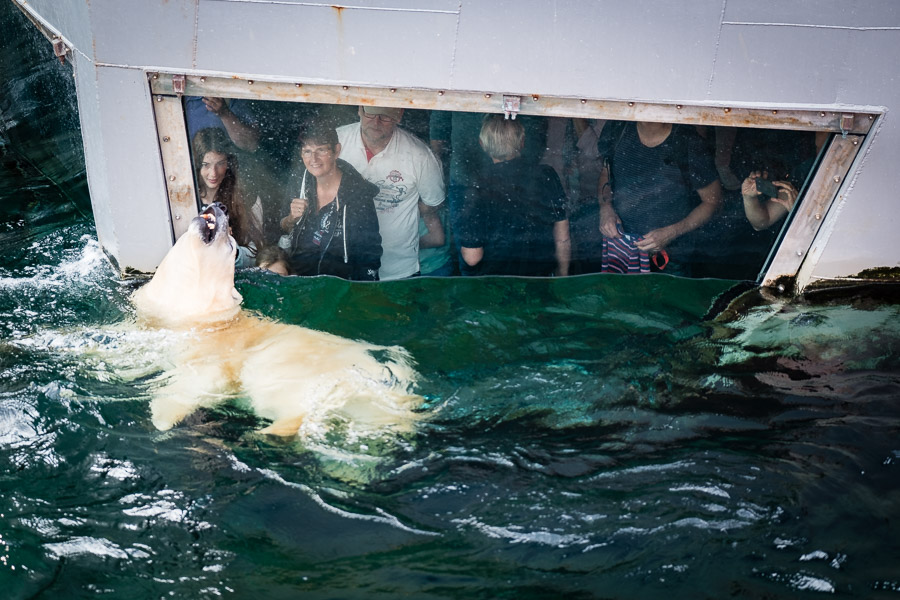 Fotoschule Hannover, Lavesstraße in Hannover