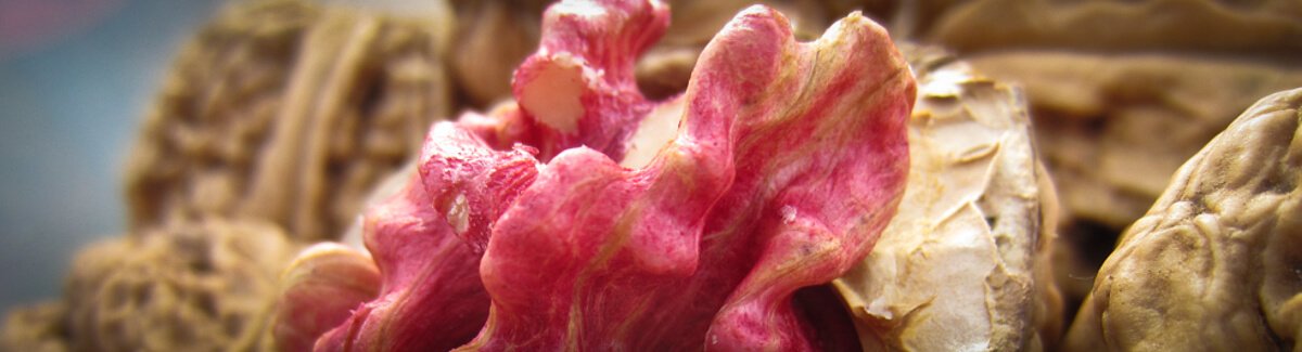 Nussbaumschule Klocks, Stutsmoor in Hamburg