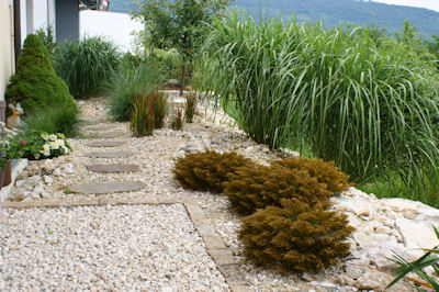 Lehmann + Partner Gartenbau AG, Keltenstrasse in Ipsach