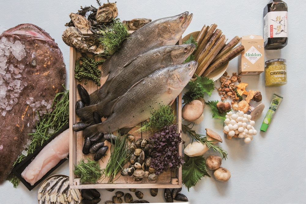 Fideco AG, Länggasse in Murten