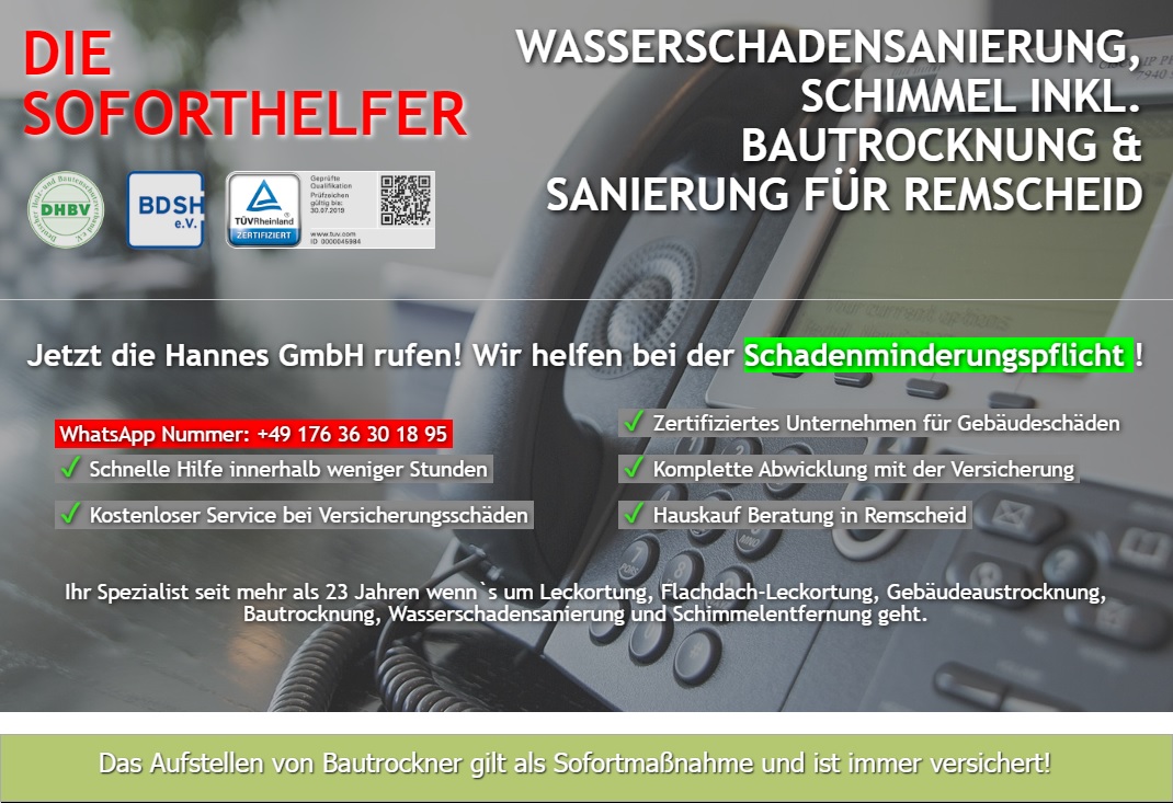 Hannes GmbH: Technische Trocknung Wasserschaden- & Schimmelbeseitigung Bautrocknung, Baubeheizung, Hohenhagener Straße in Remscheid