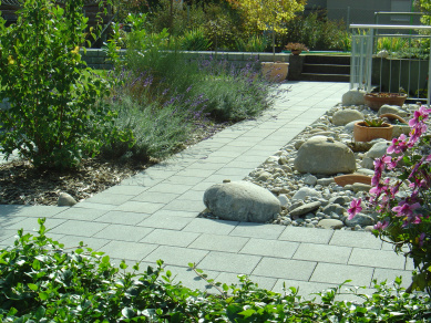Stettler & Streit Gartenbau AG, Buchmattstrasse in Burgdorf