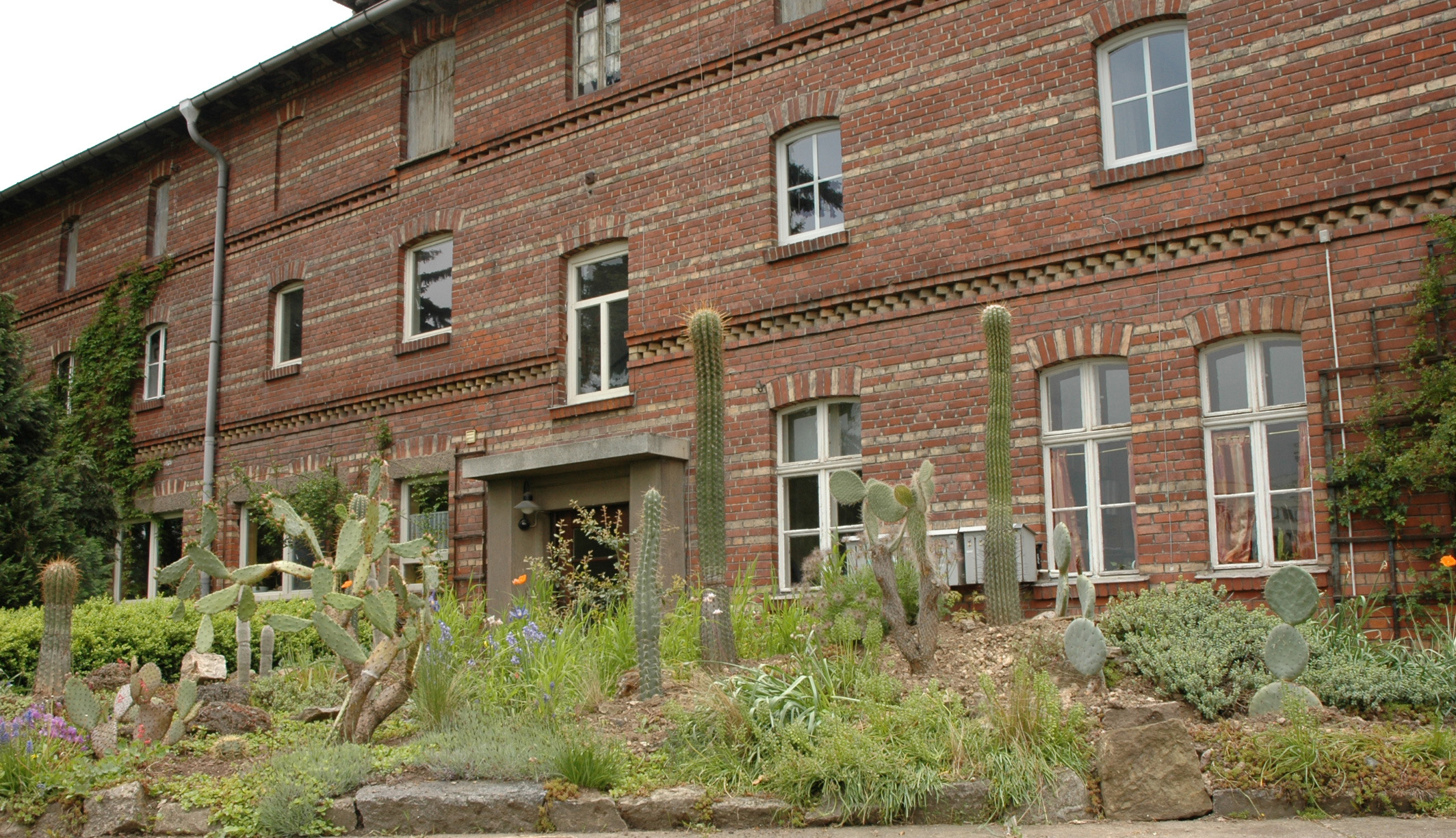 Kakteen-Haage, Blumenstraße in Erfurt