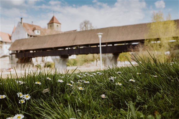 immoschwab ag, Murtenstrasse in Aarberg