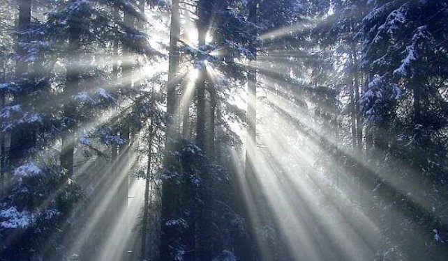 Allgemeine Bestattungs AG Bern, Gesellschaftsstrasse in Bern