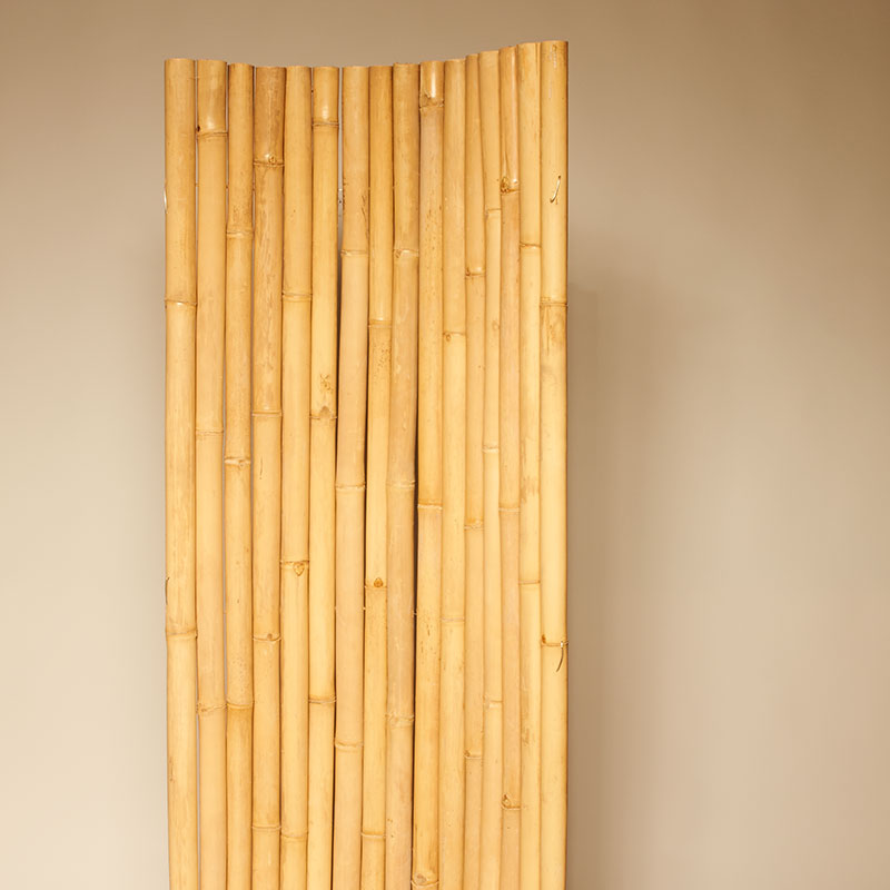 Bambusbasis, Andre-Citroen-Straße in Köln