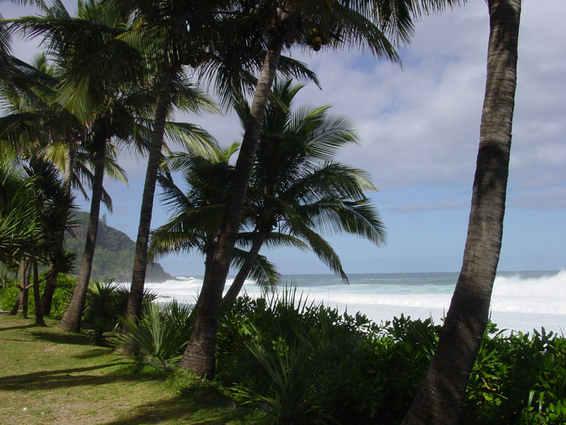 panNatura Afrika, Salierstrasse in Fellbach