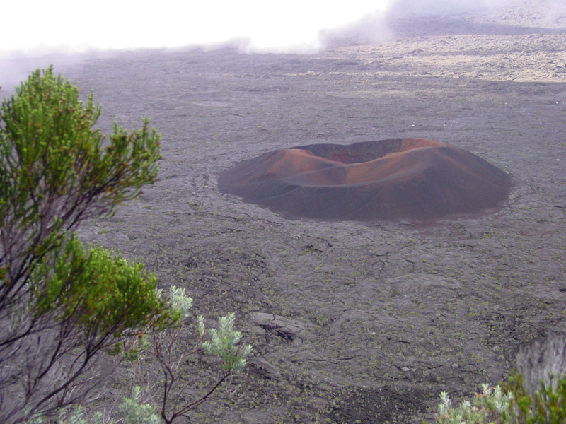 panNatura Afrika, Salierstrasse in Fellbach