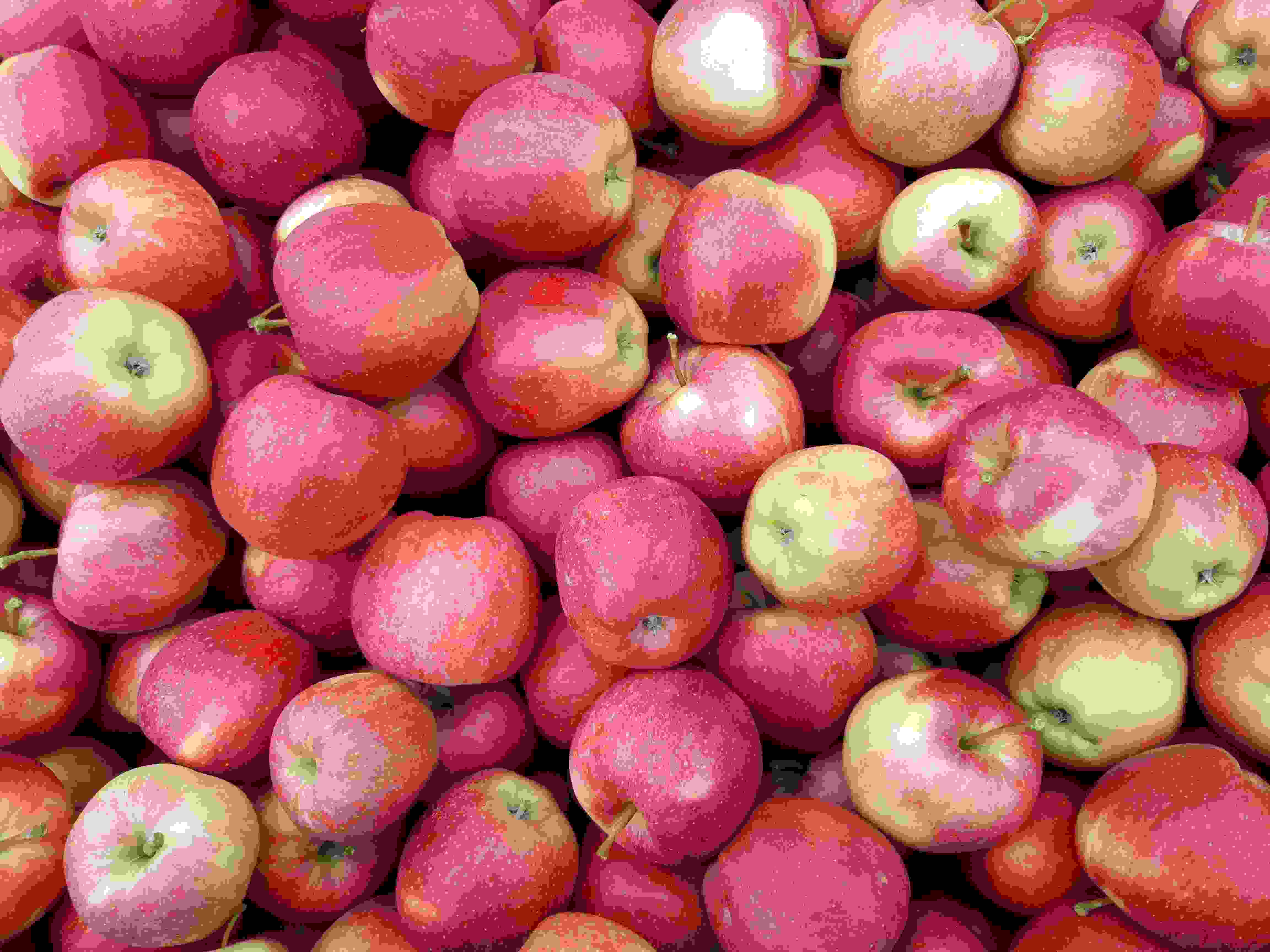 Obsthof Drechsle, Feldbergstraße in Grenzach-Wyhlen