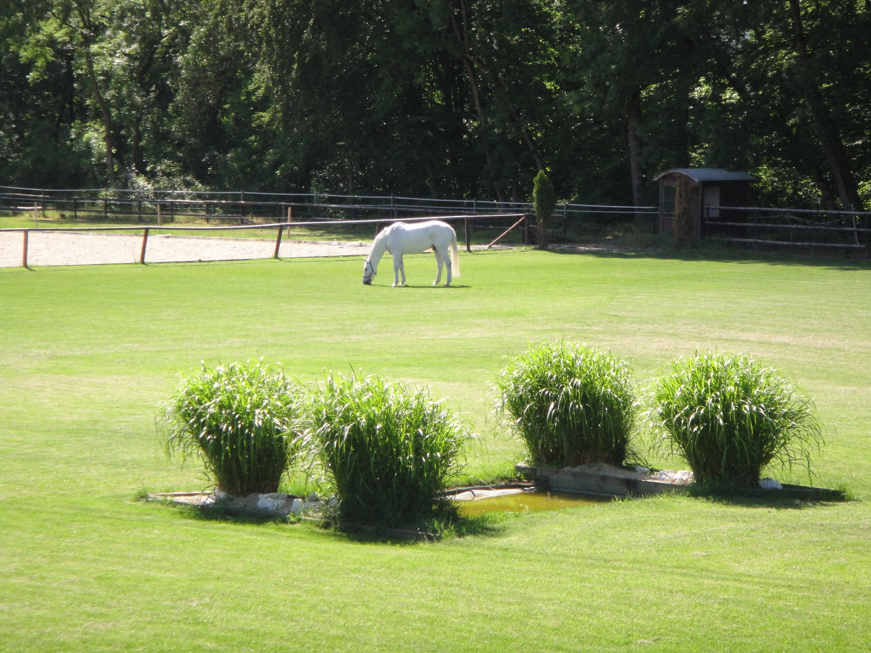 Niklaus Schurtenberger, Fenchneren in Worben