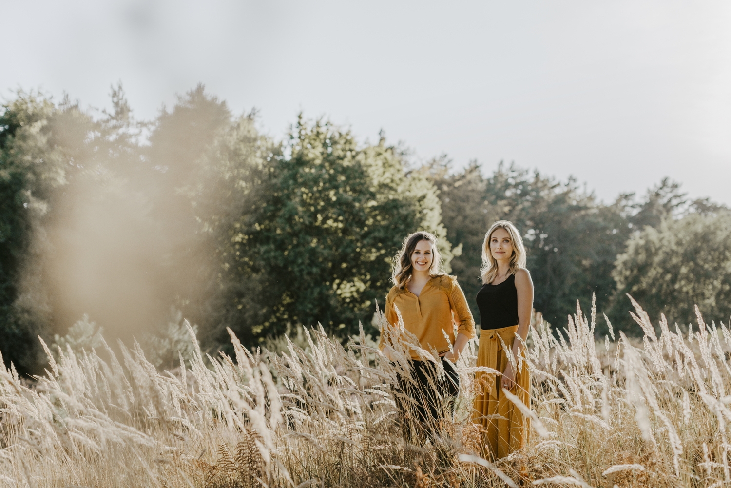 Okandada GmbH, Hohenzollernring in Köln