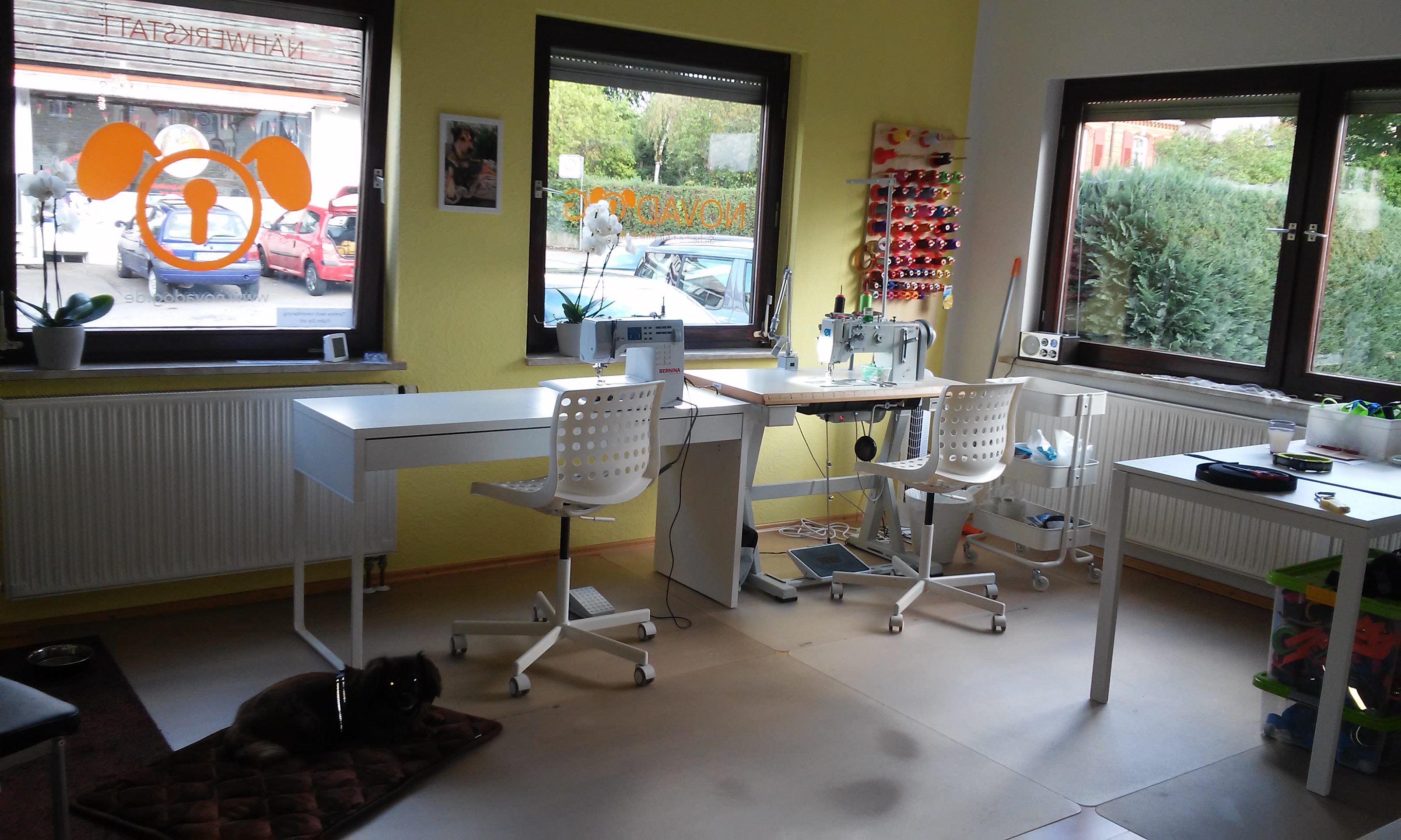 Novadog, Heiligkreuzstrasse in Hechingen