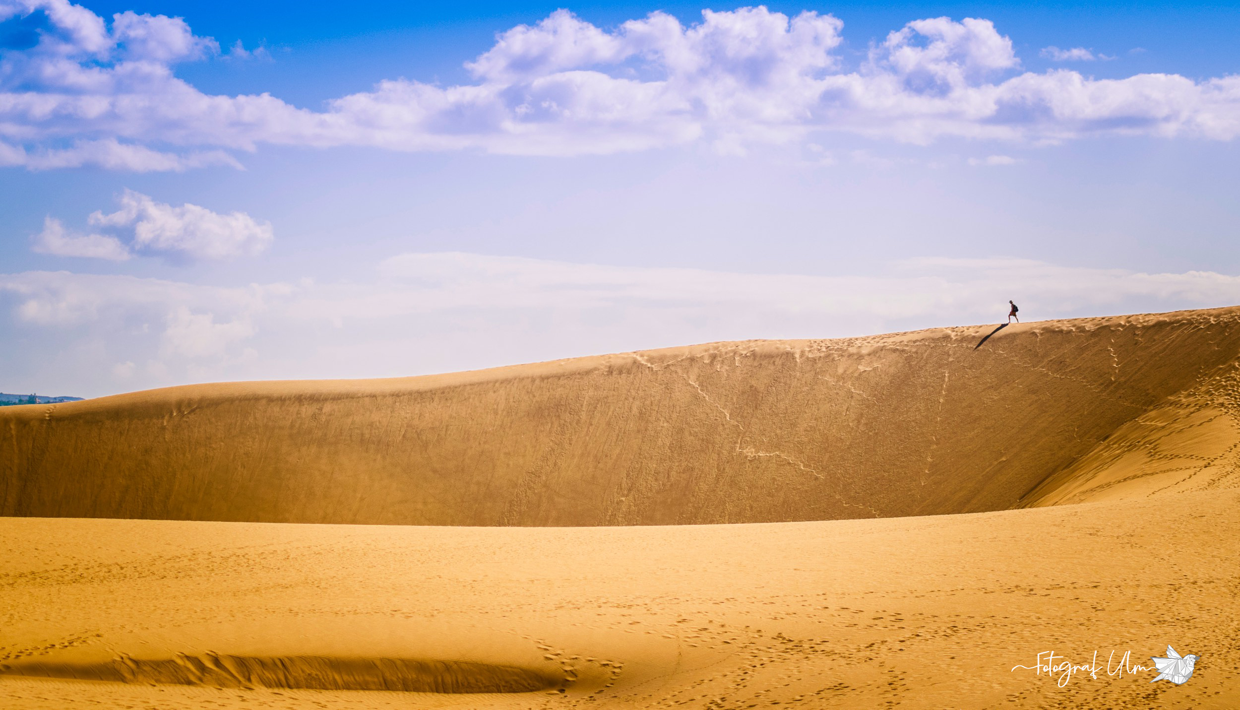 Fotograf Ulm, Lessingstraße in Nürnberg