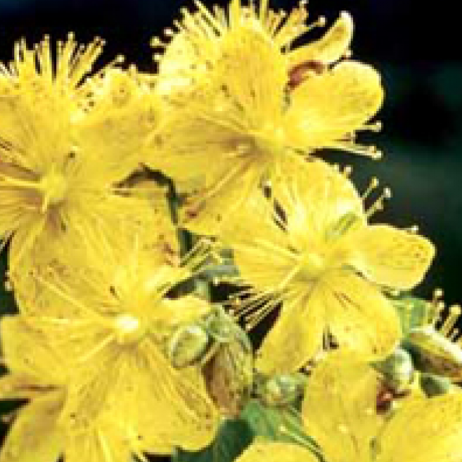 Marktgass Apotheke & Spillmann Drogerie AG, Marktgasse in Dübendorf