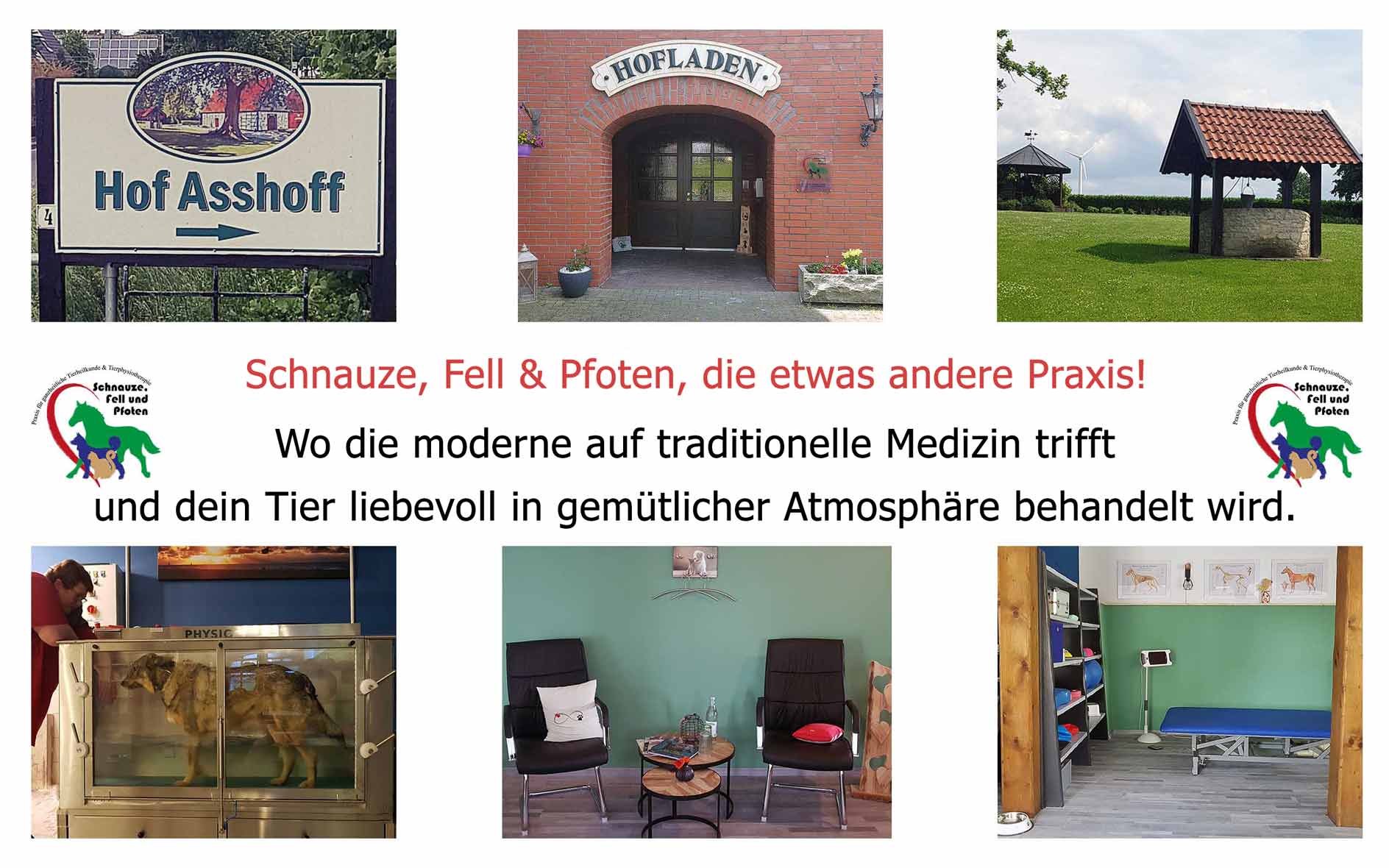 Schnauze, Fell und Pfoten, Bremer Straße in Ense