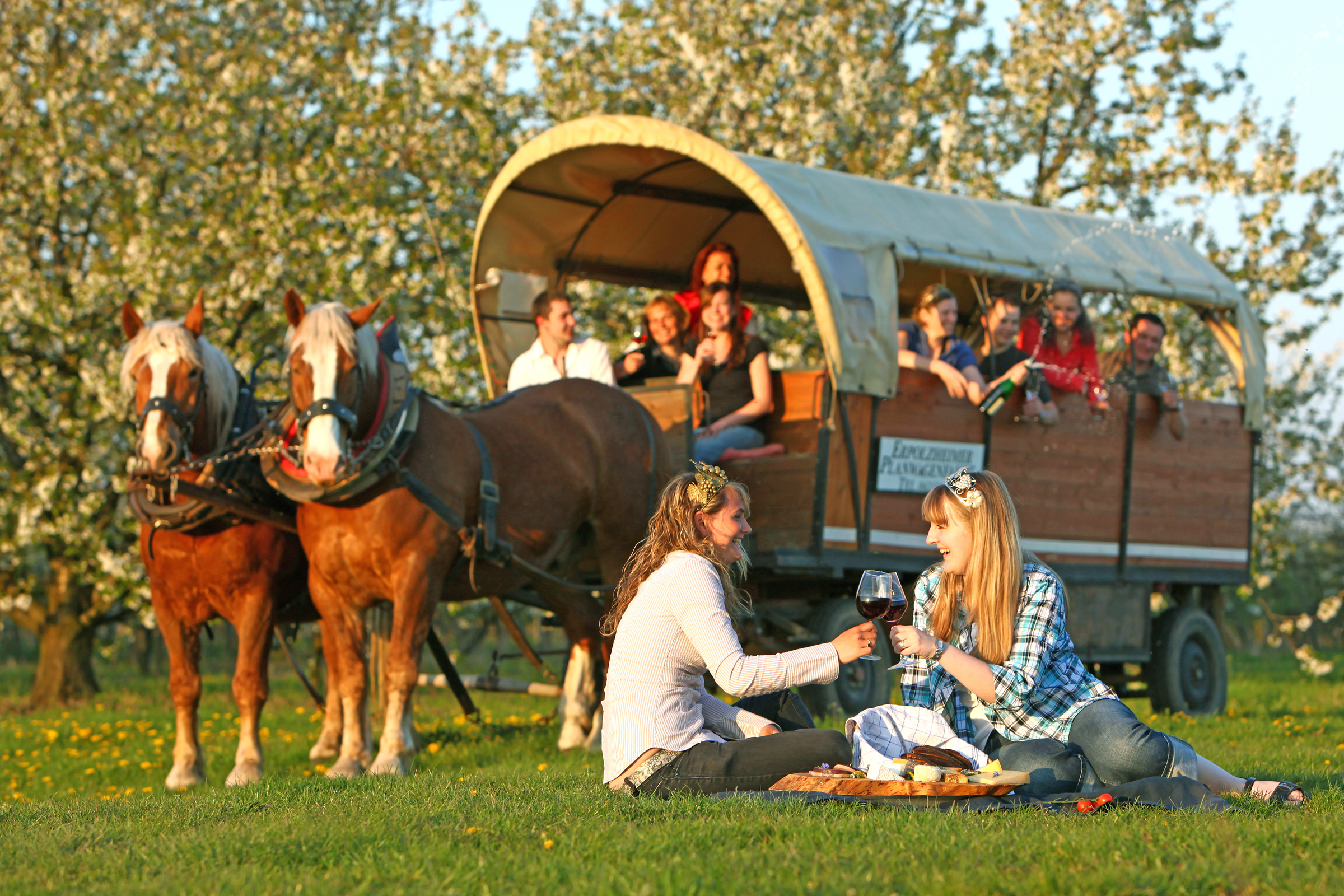 Palatinate Tours - Group Travel, Haardter Straße in Neustadt an der Weinstraße