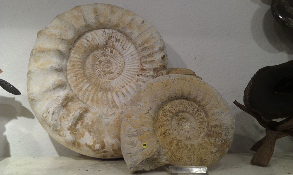 Fossilien Schmuck Mineralien Kunert, Konstanzerstr. in Berlin Wilmersdorf