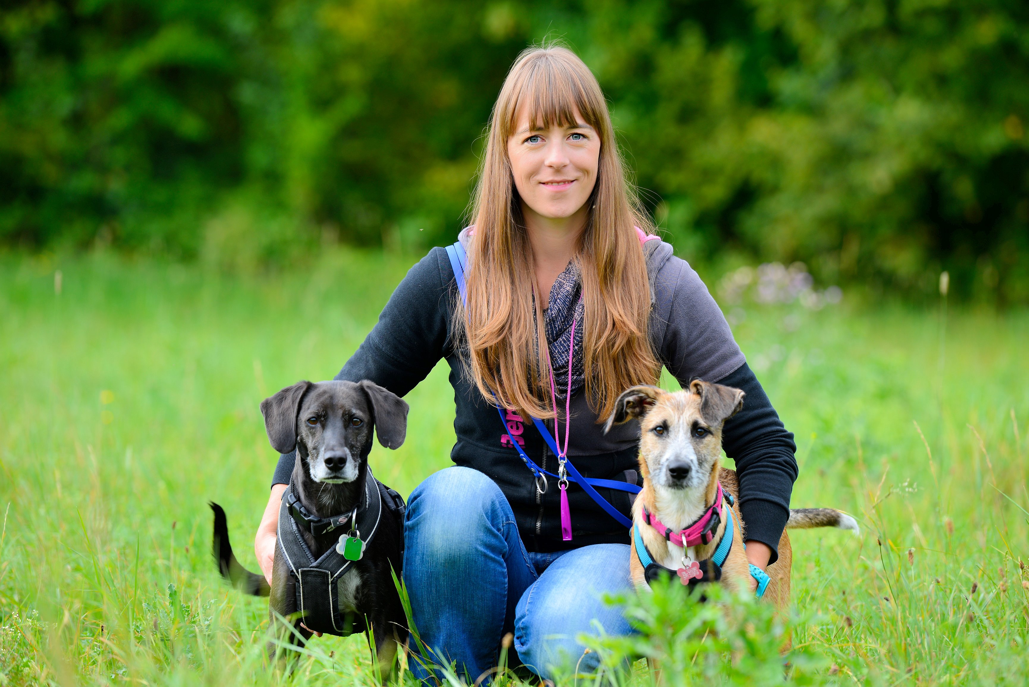 Hundi Training, Josef-Hunger-Weg in Neuried