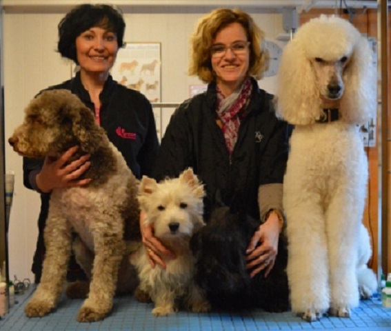 Hundesalon Sky Dog, Bodenackerstrasse in Dulliken