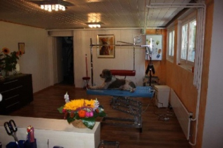 Hundesalon Sky Dog, Bodenackerstrasse in Dulliken