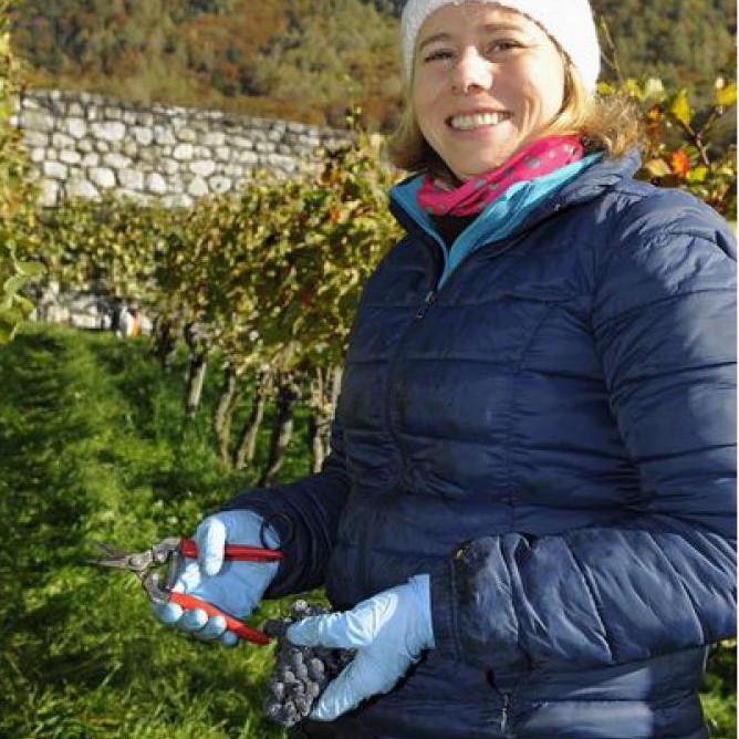 Müller Weingut Steinersteg, Staatsstrasse in Heiligkreuz (Mels)