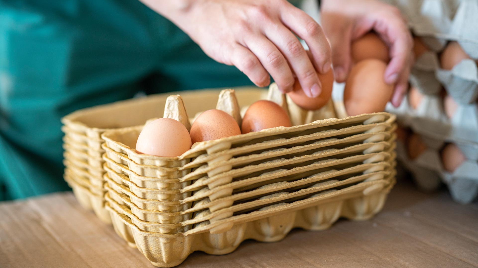 Agrargenossenschaft Bucha eG - Geflügelhof, Schorba in Bucha