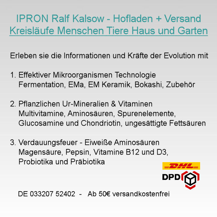 IPRON Ralf Kalsow, Waldstraße in Groß Kreutz (Havel)