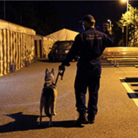 Krebser Bewachungen GmbH, Ifangstrasse in Rümlang