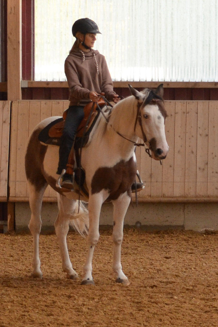 Anna Köhler - Fair zum Pferd, Blumenstraße in Bempflingen