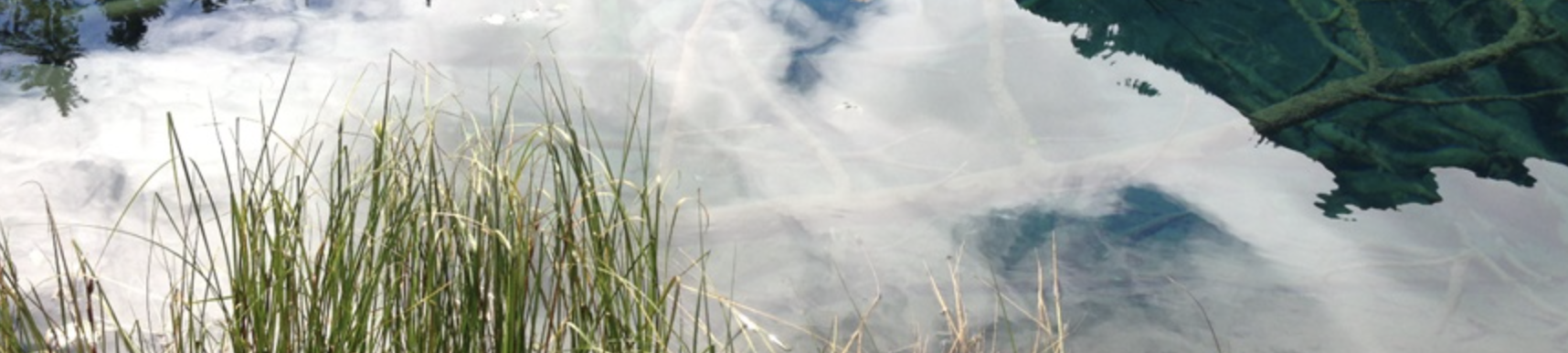 Praxis für Psychotherapie (HeilprG) und Paartherapie, Tuchergartenstraße in Nürnberg