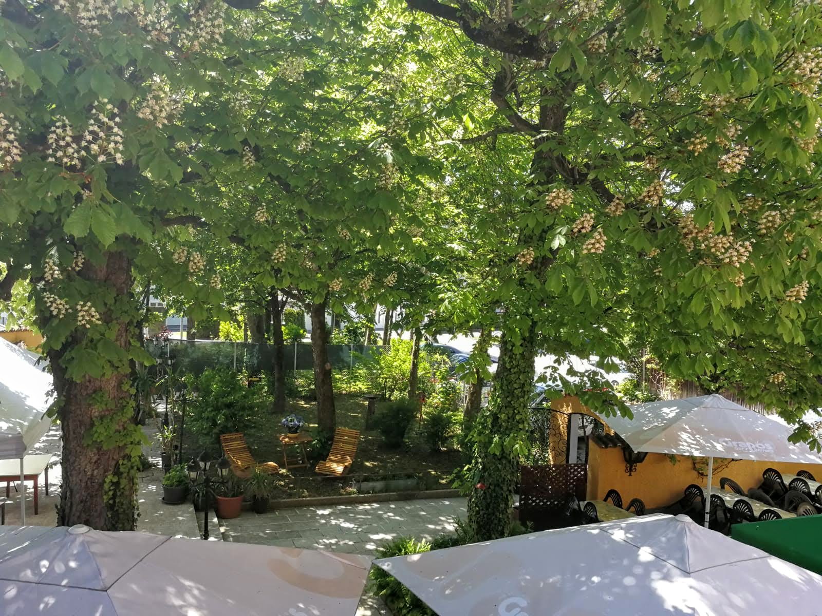 Wirt in Strass, Heidestraße in Dresden
