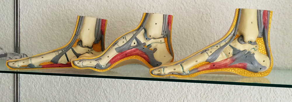 Barbara Grob - dipl. Pédicure, Dammstrasse in Bülach