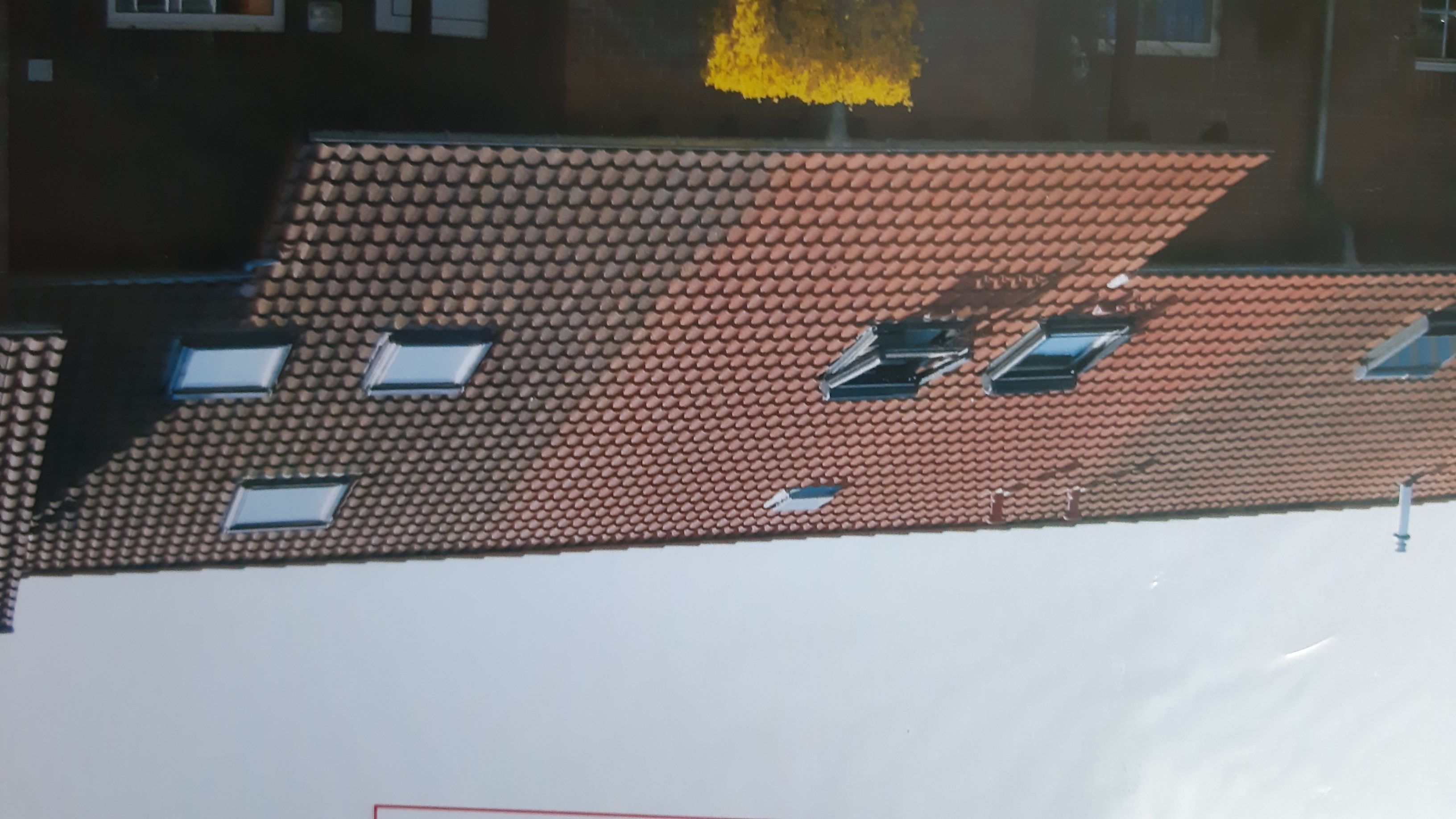 BF Dach-Fassadenreinigung, Großpösnaer Straße in Leipzig