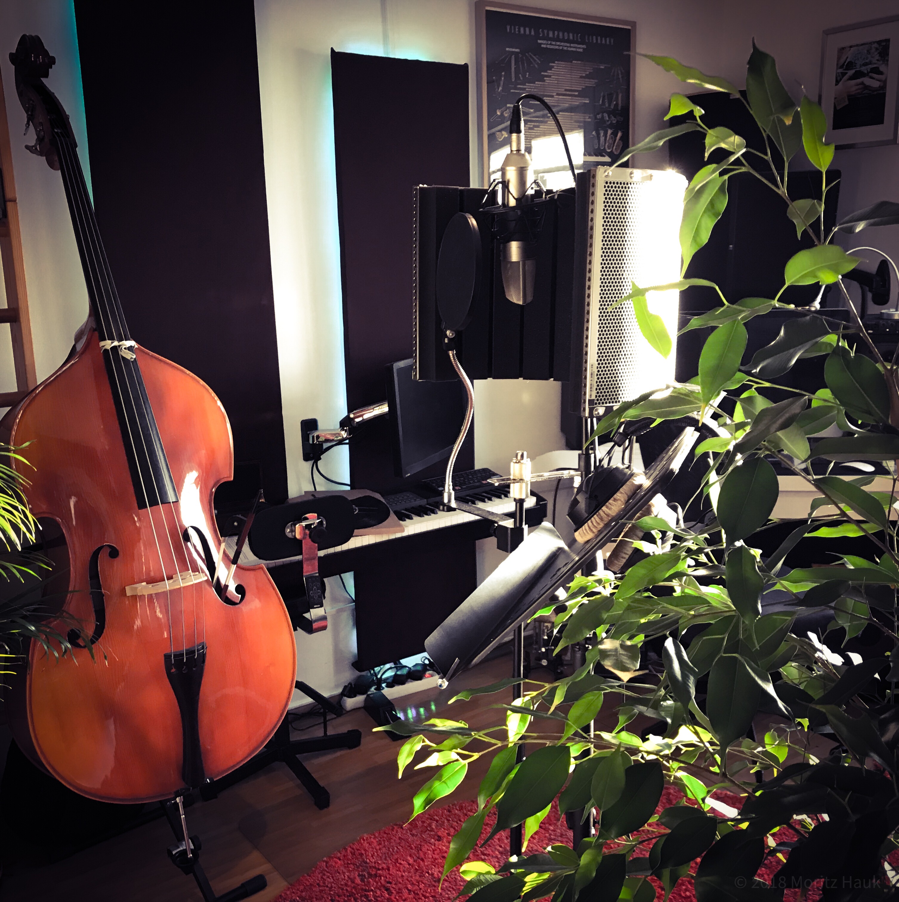 Bass Unterricht Fürth, Waldstraße in Fürth