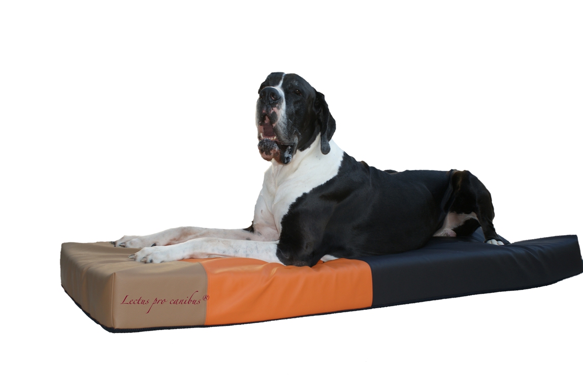 fit-und-mobil-tiershop.com / Tierphysiotraining Kemper, Eisenstädter Straße in Pottendorf-Landegg