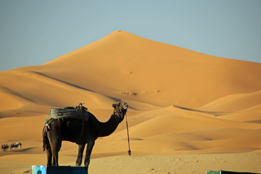 Ritz Reisen, Bahnhofstraße in Saarbrücken