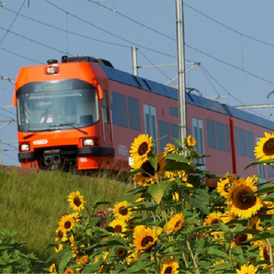 Gemeindeverwaltung Moosseedorf, Schulhausstrasse in Moosseedorf