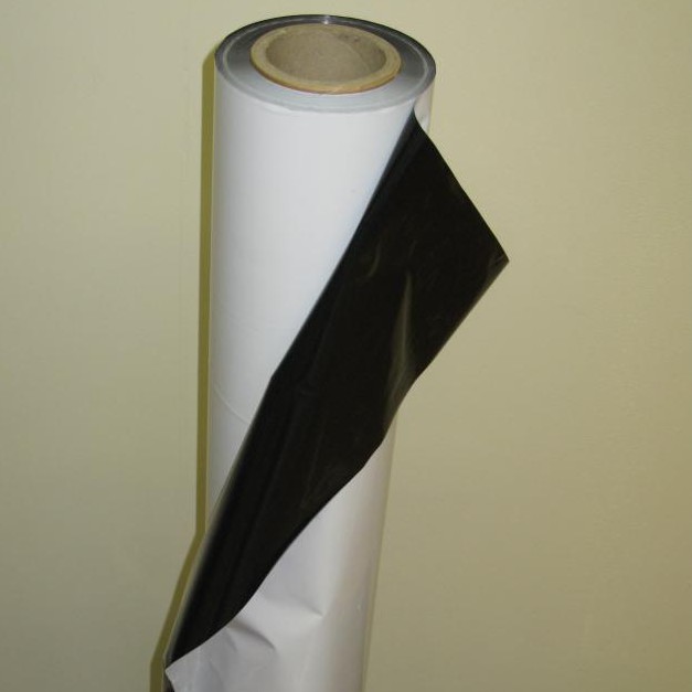 Interfol AG, Werkstrasse in Lyss