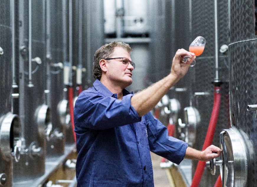 Winzerkeller Auggener Schäf eG, Kleinfeldele in Müllheim