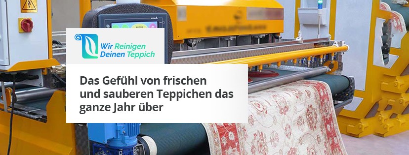 Wir Reinigen Deinen Teppich, my fair e.K., Wageneggerstraße in München