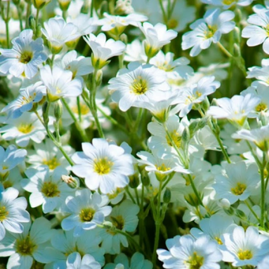 Rike-Apotheke AG, Rikonerstrasse in Lindau