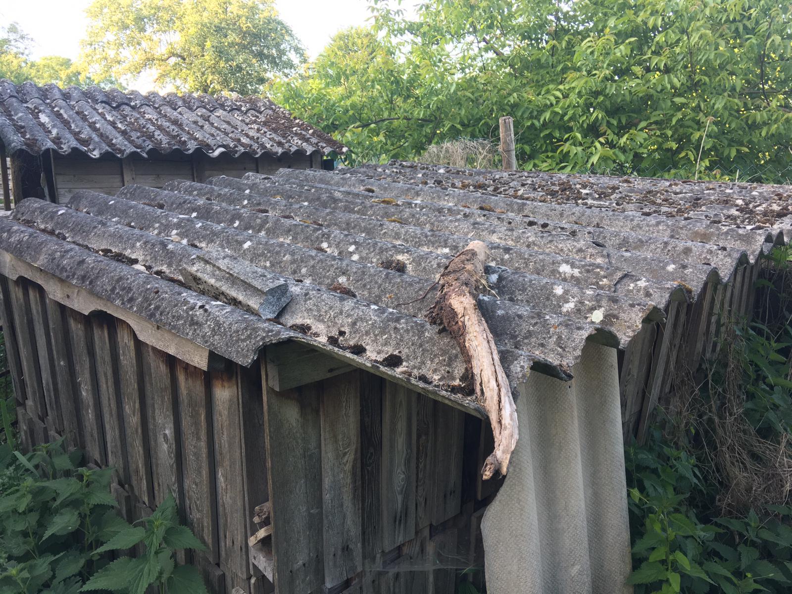 NRW Asbest Asbestsanierung – Asbestentsorgung, Friedrich-Ebert-straße in Pinneberg