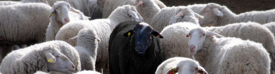 Fair Schlüsseldienst 24, Neue Jakobstraße in Berlin