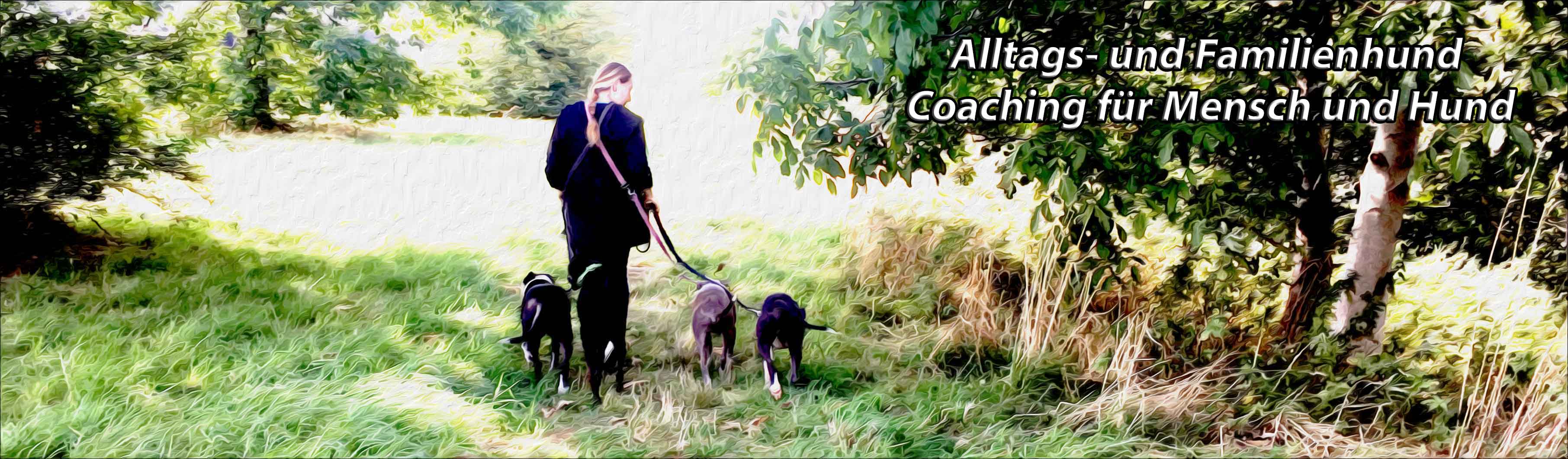 Alltags- und Familienhund - Coaching für Mensch und Hund, Peetzweg in Salzgitter