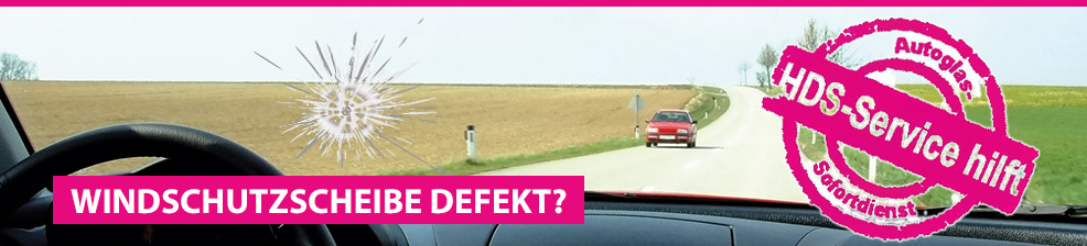 AUTOGLAS HDS - Service Bernd Siegle, Fritz-Präuner-Straße in Hessigheim