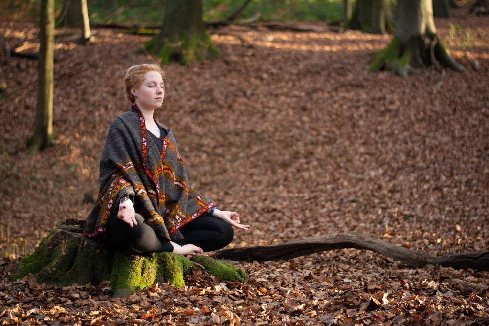 Yogapraxis Padna, Lorentzendamm in Kiel