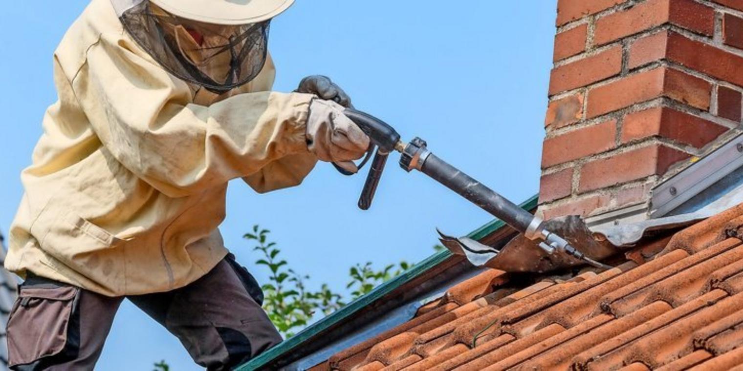 Kammerjäger Jung, Königstraße in Duisburg