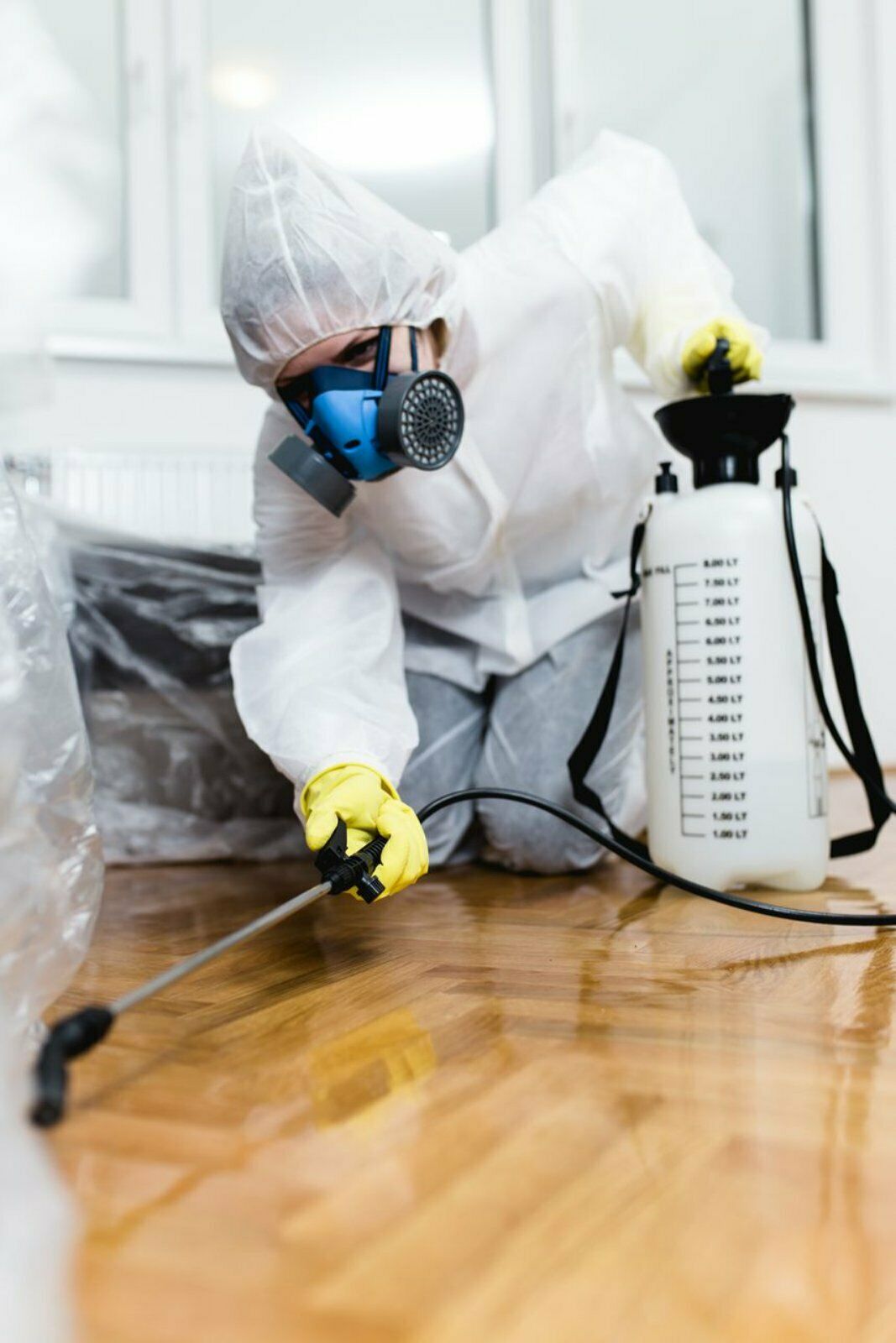 Kammerjäger Jung, Königstraße in Duisburg