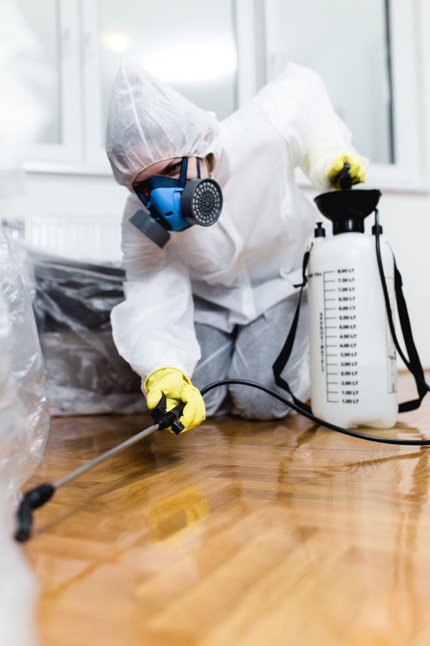 Kammerjäger Kraus, Viktoriaallee in Aachen